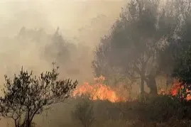 الحرائق في سورية: بين رماد الطبيعة ولهيب السياسة